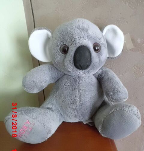 KOALA ROXY PARFUMS 18 Oignies (62)