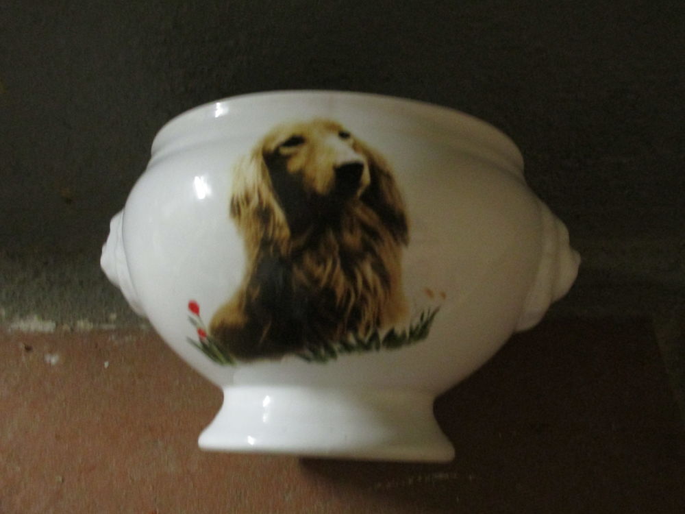 BOL AVEC MOTIF PETIT CHIEN POUR DIVERSES CHOSES Décoration