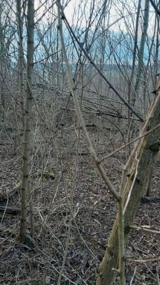  Terrain � vendre 4970 m�