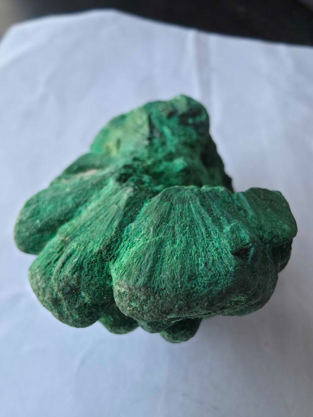 Rare Malachite Fibreuse Velout&eacute;e Katanga RDC-Collection 193g 