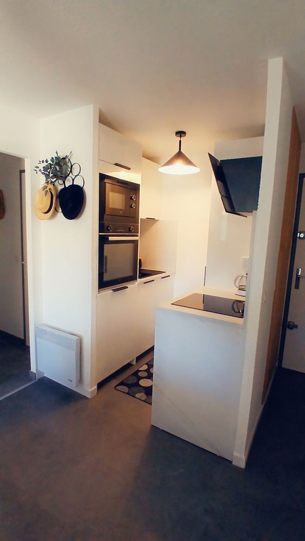 Vente Appartement P2  entièrement rénové et climatisé  Vue parc
Proche plages Le grau-du-roi