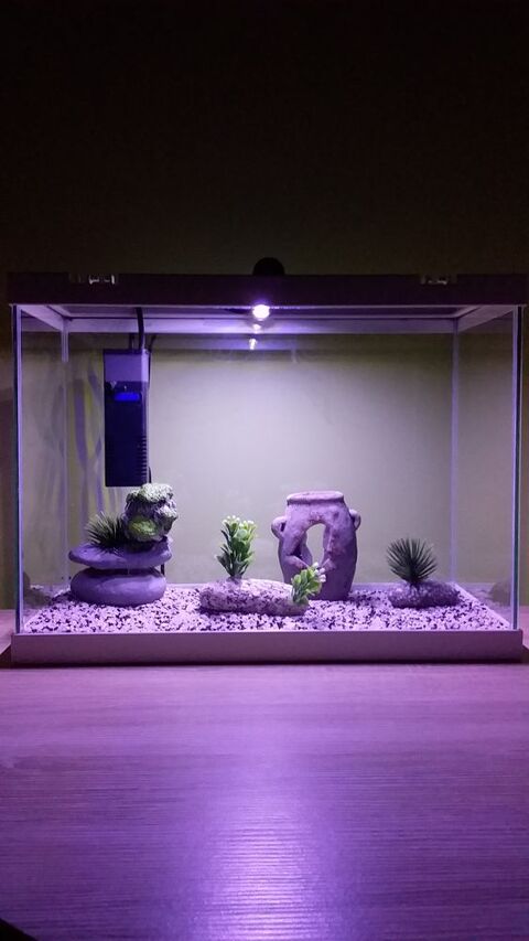 aquarium complet 50 44190 Clisson
