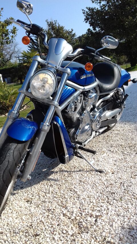 Moto HARLEY-DAVIDSON 2008 occasion Château-d'Olonne 85180