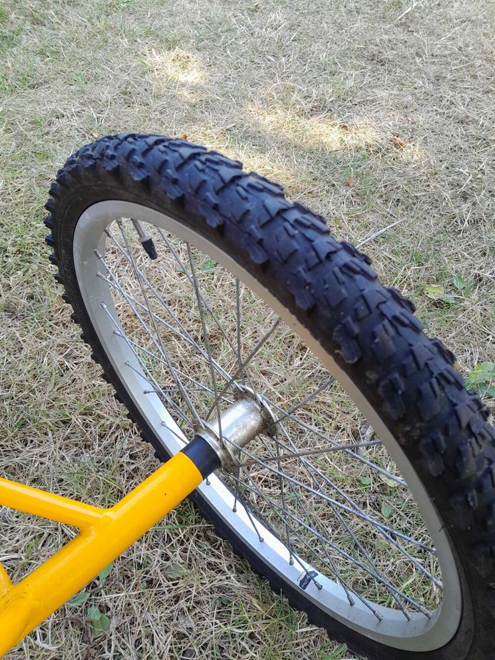 Tricycle adulte Sports