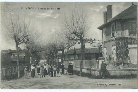 Mezos avenue des platanes 4 Castel-Sarrazin (40)
