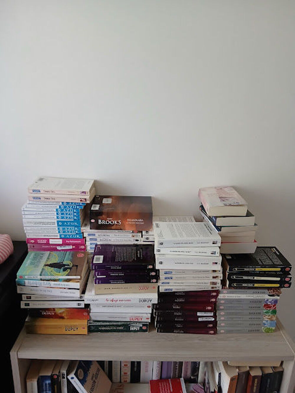 Lot d'environ 100 livres d'occasion ? romans et divers Livres et BD