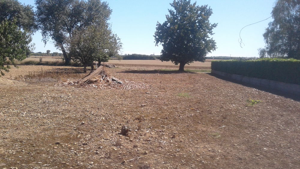Vente Terrain TERRAIN CONSTRUCTIBLE 910 M² Saint-pierre-d'exideuil