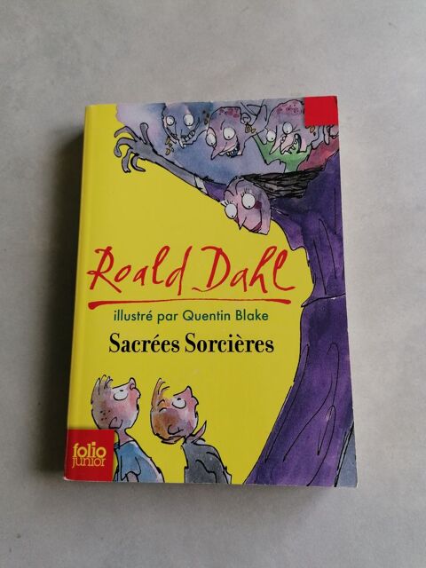 Livres enfant Roald Dahl 8 Jury (57)