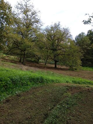  Maison � vendre 3 pi�ces 50 m�