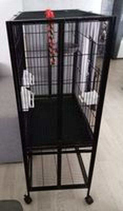   Cage oiseaux  