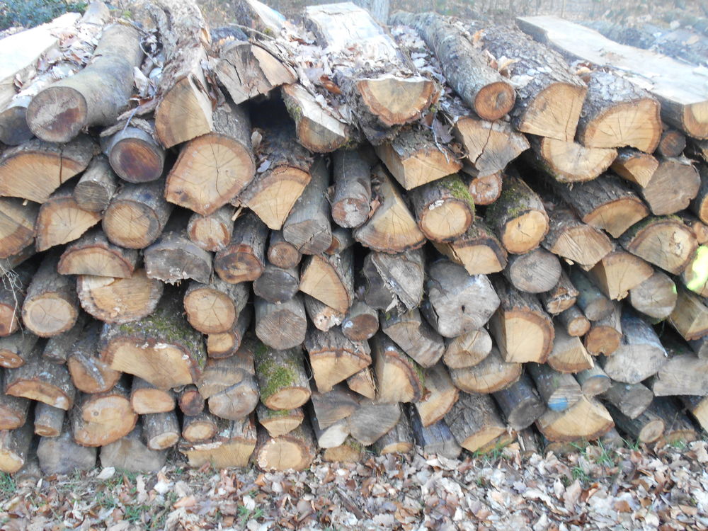 bois chauffage Jardin