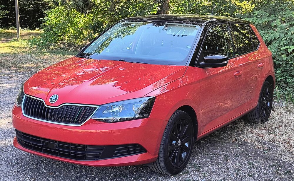 Fabia 1.2 TSI 90 ch Greentec Ambition 2015 occasion 70270 M&eacute;lisey