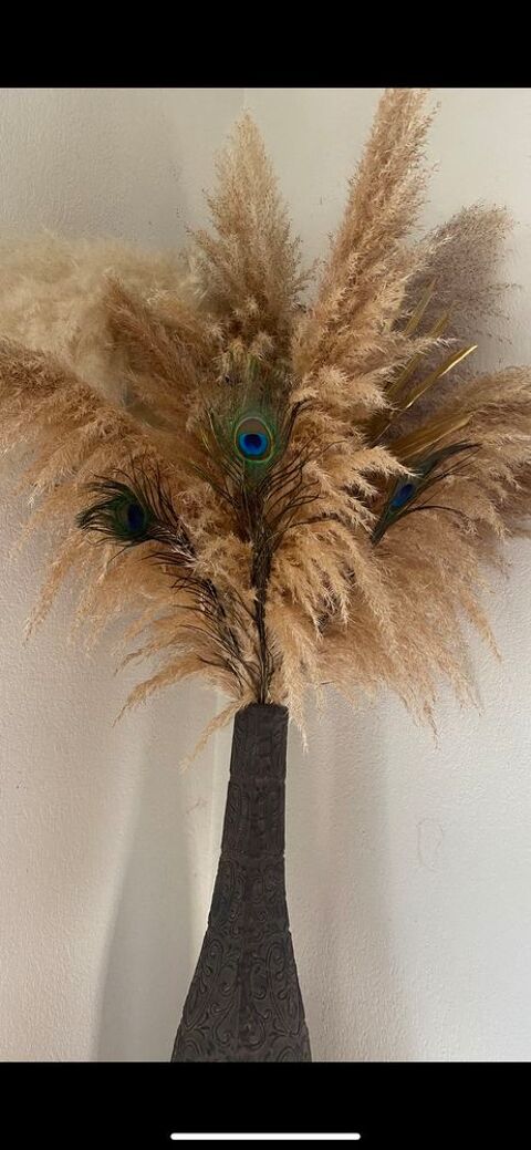 pampas 0 Gignac-la-Nerthe (13)