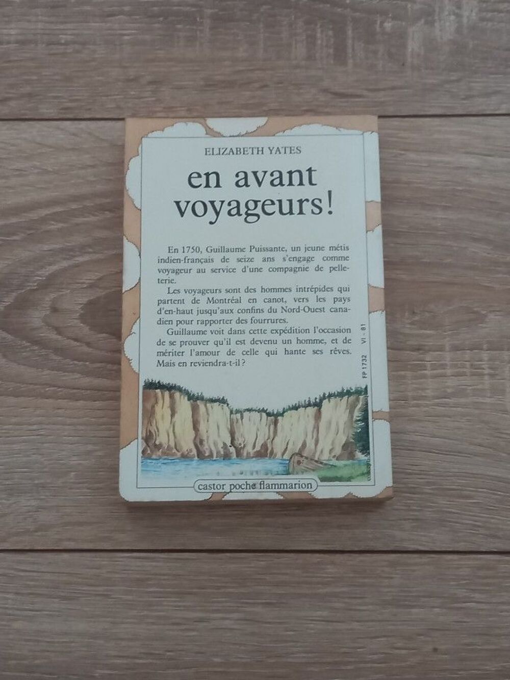 Livre En avant voyageurs par Elisabeth Yates Livres et BD
