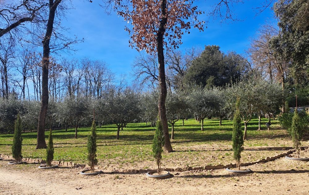 Vente Terrain Terrain plat constructible de 1000 m2 Pont-saint-esprit