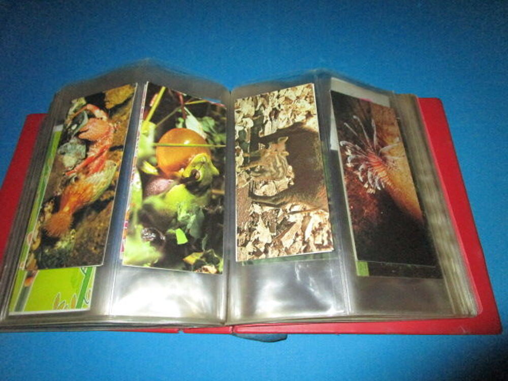 LOT CARTES ANIMAUX"MERVEILLES DU MONDE-NESTLE" 