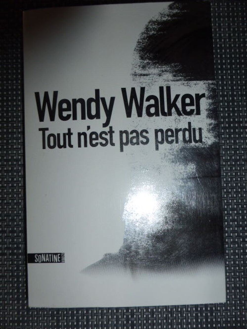 Tout n'est pas perdu Wendy Walker Livres et BD
