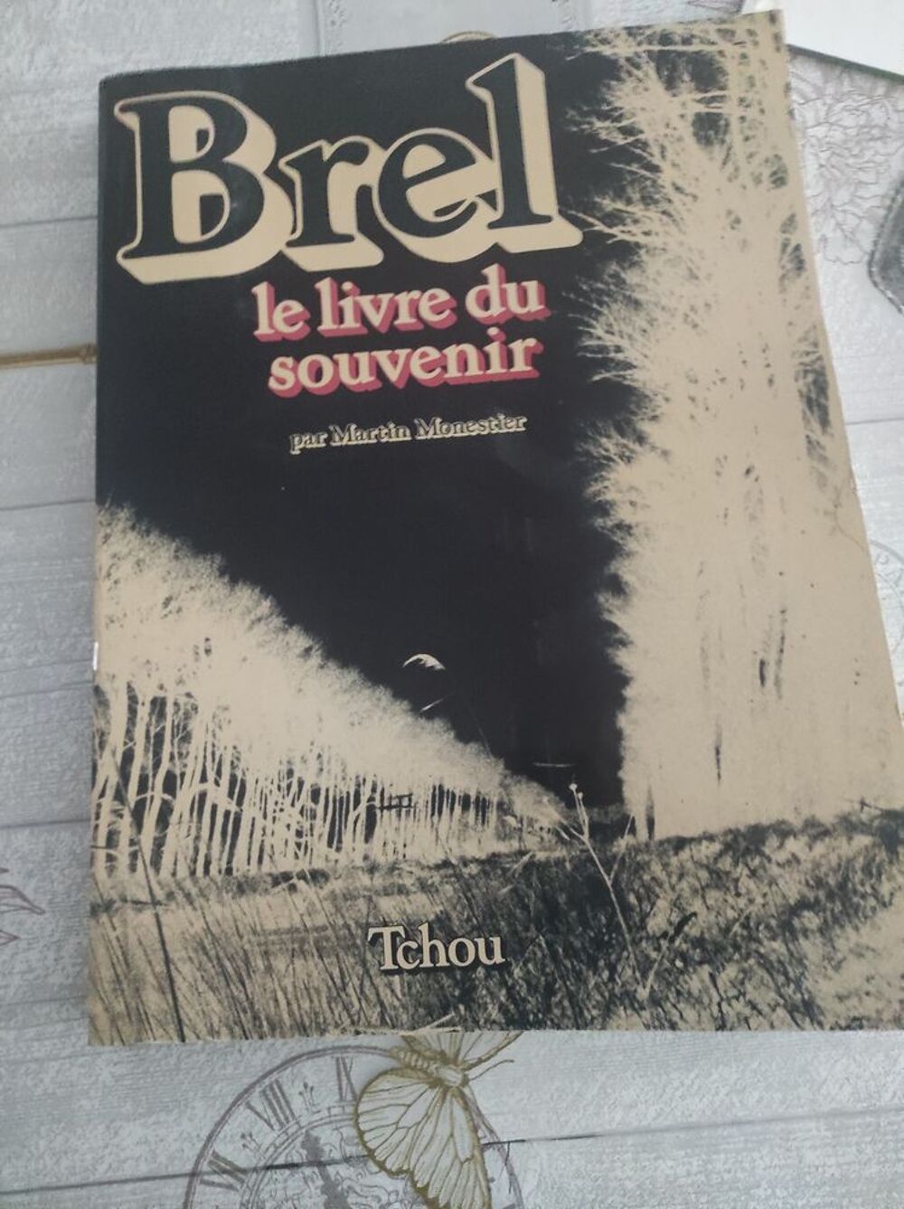 Le livre du souvenir Jacques Brel Livres et BD