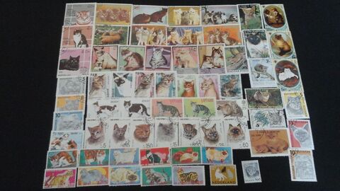 Timbres sur les chats 4 Angers (49)
