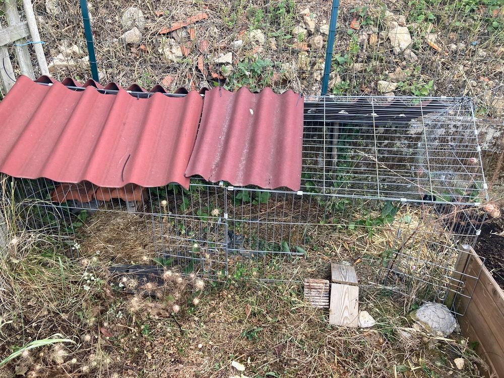   2 enclos pour poules, lapin, repriles ou autres 