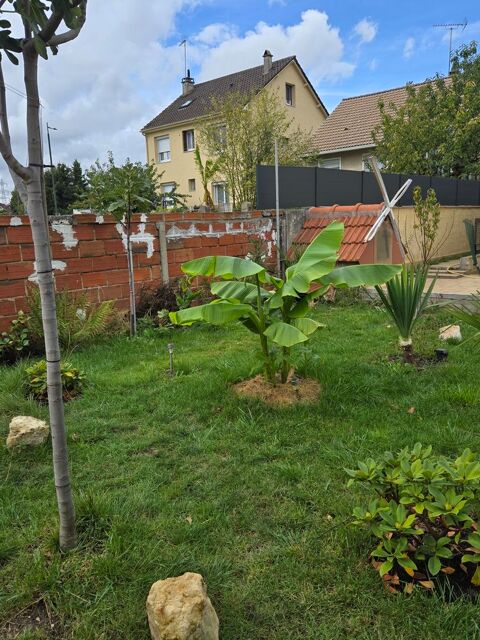 Recueille grosse tortue de terre ou &acirc;g&eacute;es ...77 0 77500 Chelles