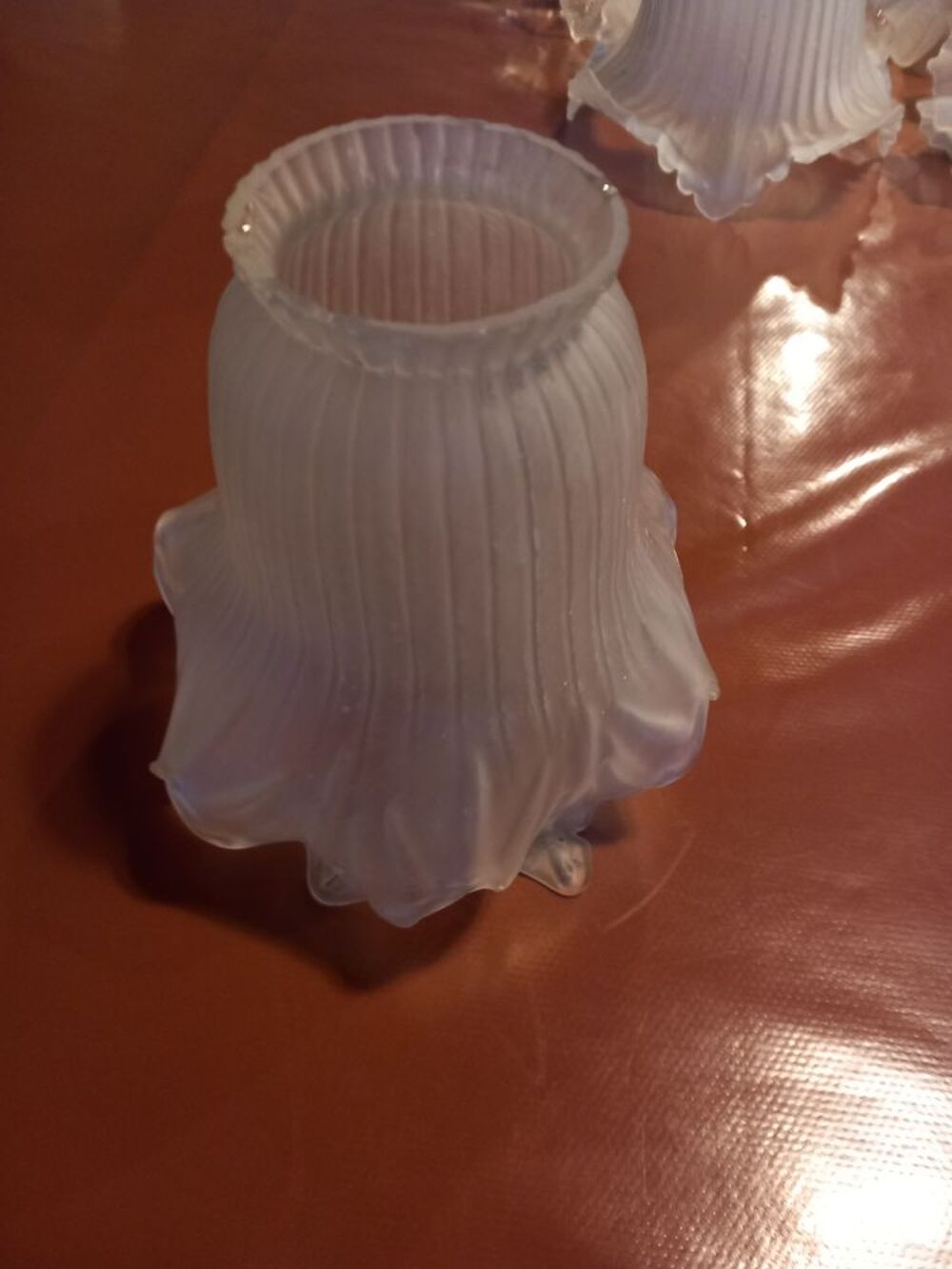 tulipes pour lampe Dcoration
