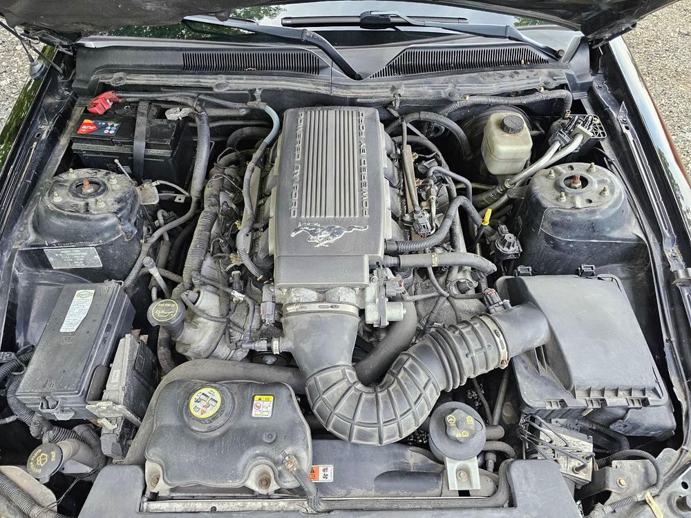 Mustang 4.6 V8 GT 305CH 2008 occasion 33560 Carbon-Blanc