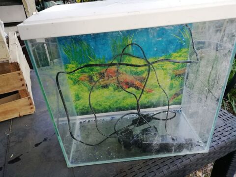 aquarium 30 57310 Gu�nange