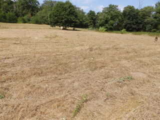  Terrain � vendre 5117 m�