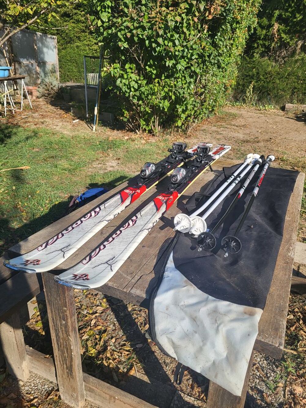 ski alpin Sports