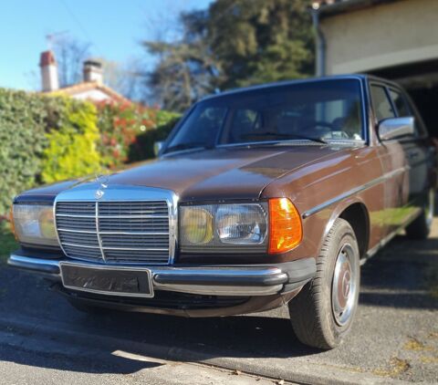 Mercedes 230 E bicarburation Essence - GPL 1981 occasion Saint-Gaudens 31800
