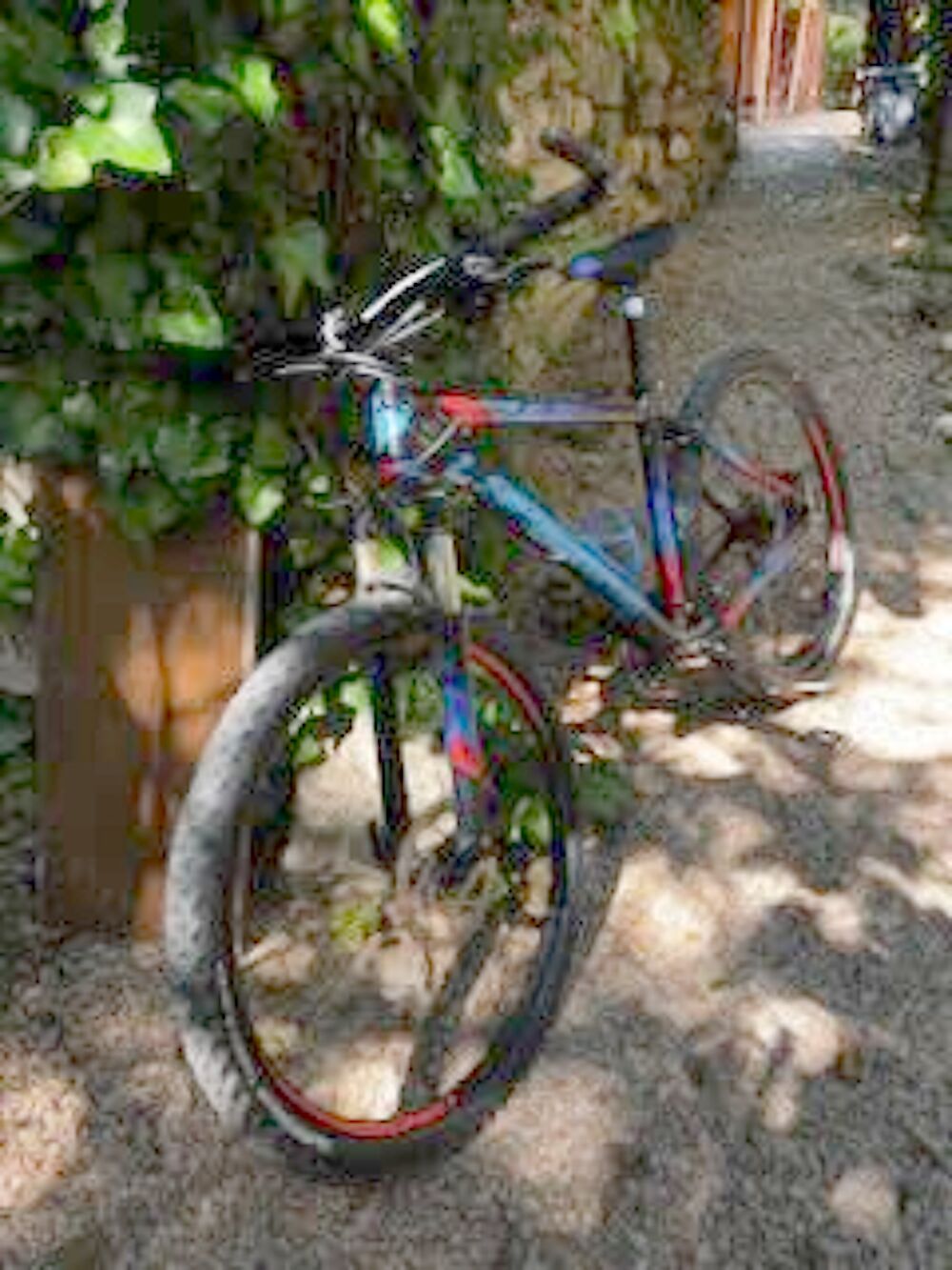 VTT LaPiere Raid - Taille M Vélos