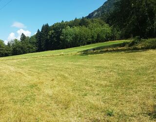 Terrain à vendre 4027 m²