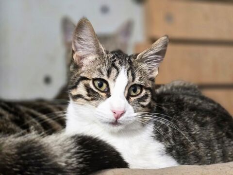 VALDY 210 60000 Beauvais