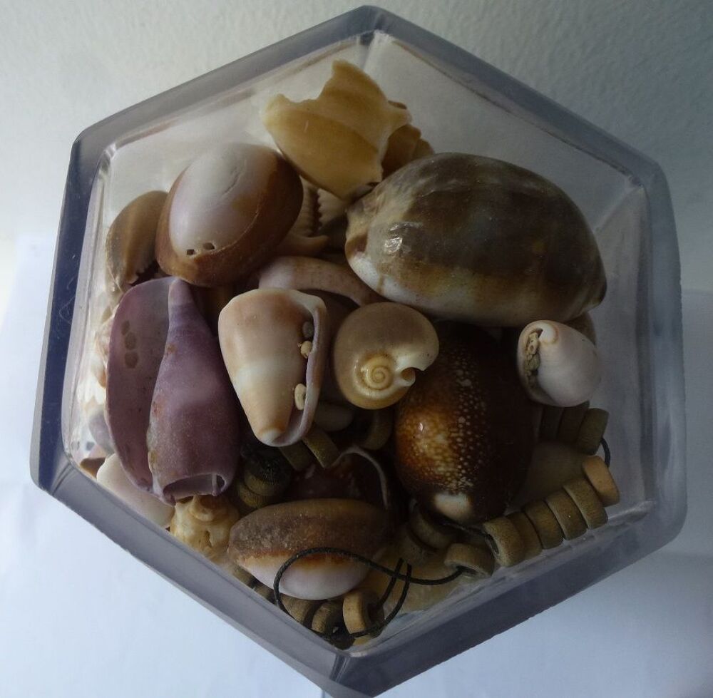 vase en verre garni de coquillages Décoration