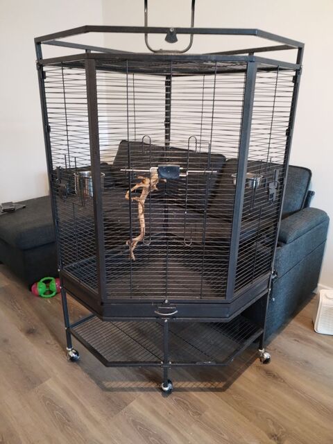 Voli&egrave;re oiseau Angle 150 77185 Lognes