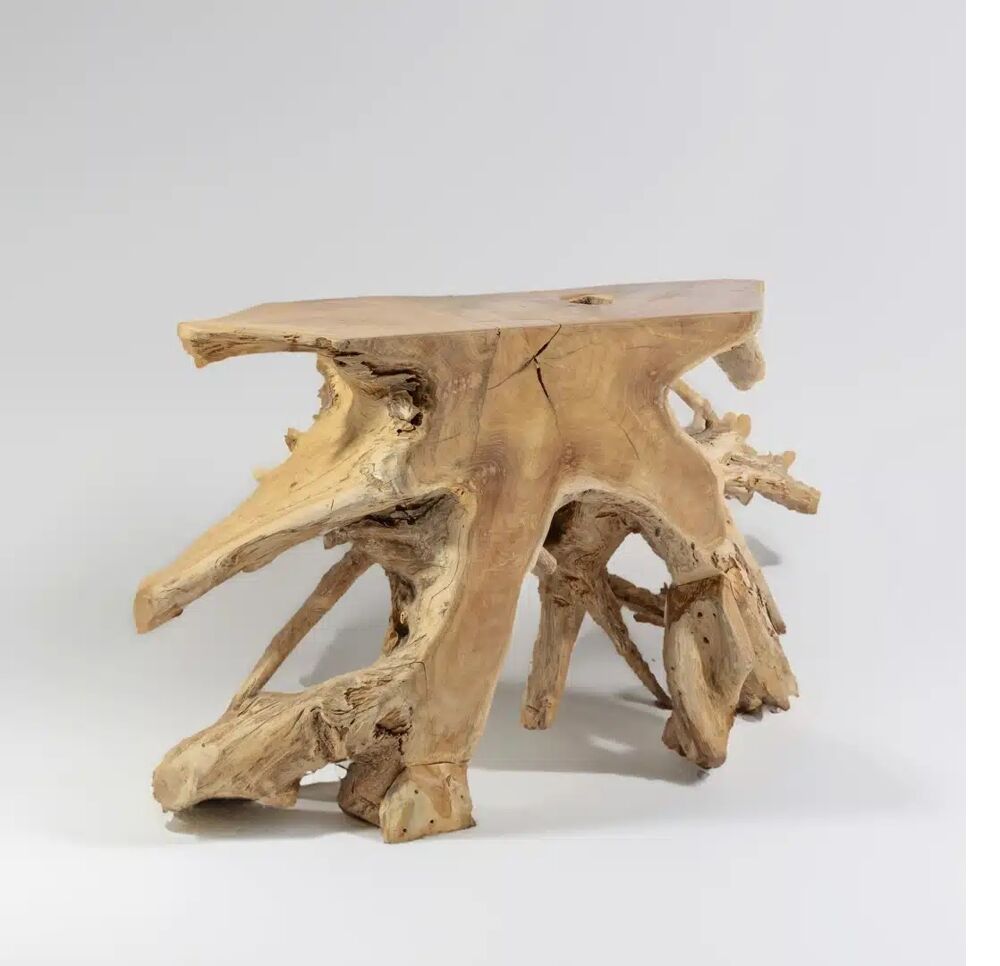 Console en Bois Massif Racine de Teck Naturelle Décoration