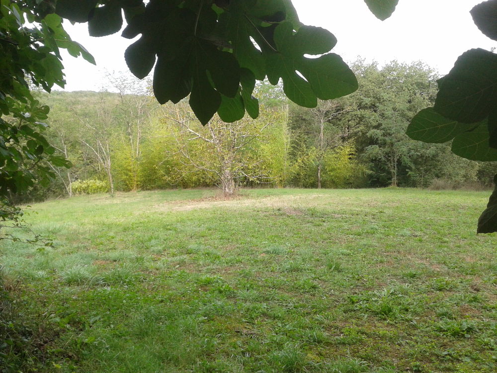 Vente Maison PROPRIETE MAGNIFIQUE DANS UN HAVRE DE PAIX ET DE VERDURE Cagnac-les-mines