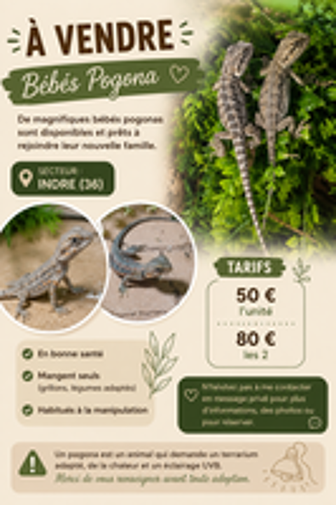   Bebe pogona 