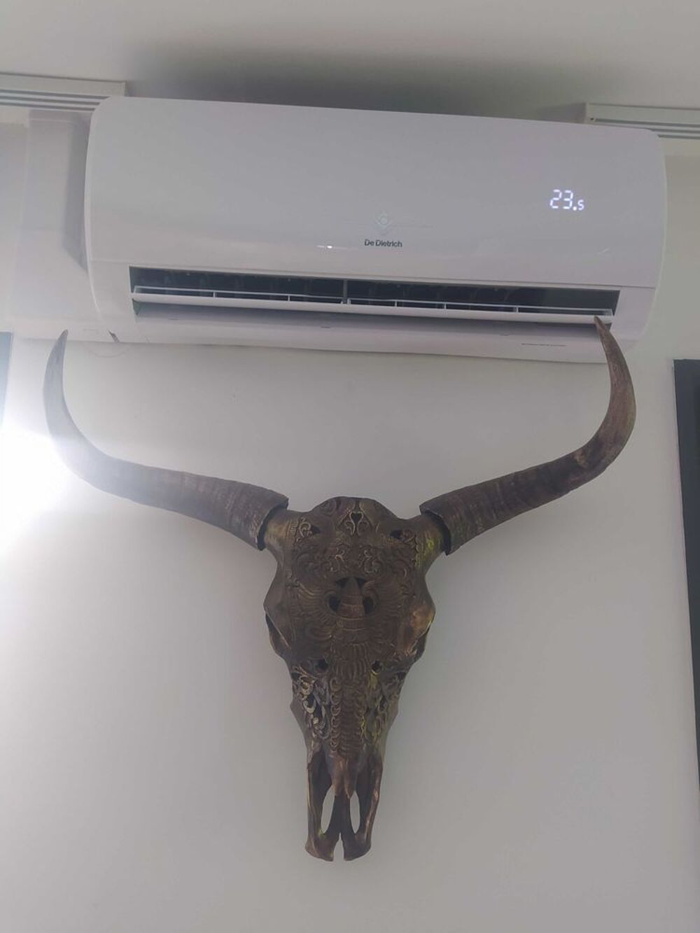 t&ecirc;te de buffle Décoration