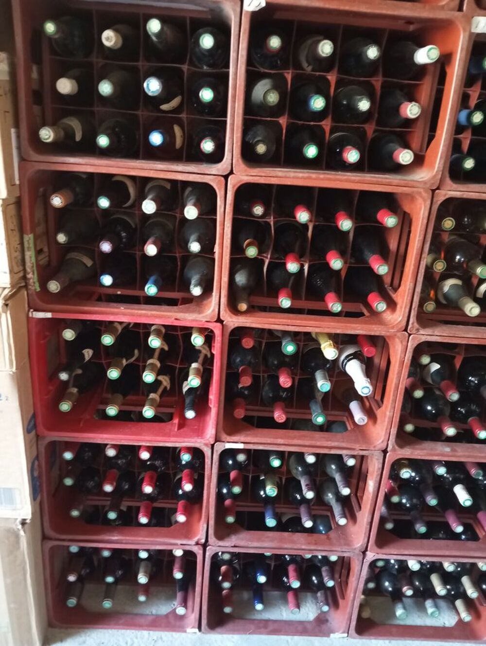 Cave a vin Cuisine