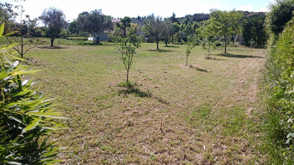 Vente Maison Propriété de 5732 m2 avec une parcelle constructible Bragassargues
