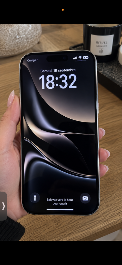? iPhone 17 Pro Max ? 512 Go ? Argent 1150 Sartène (20)