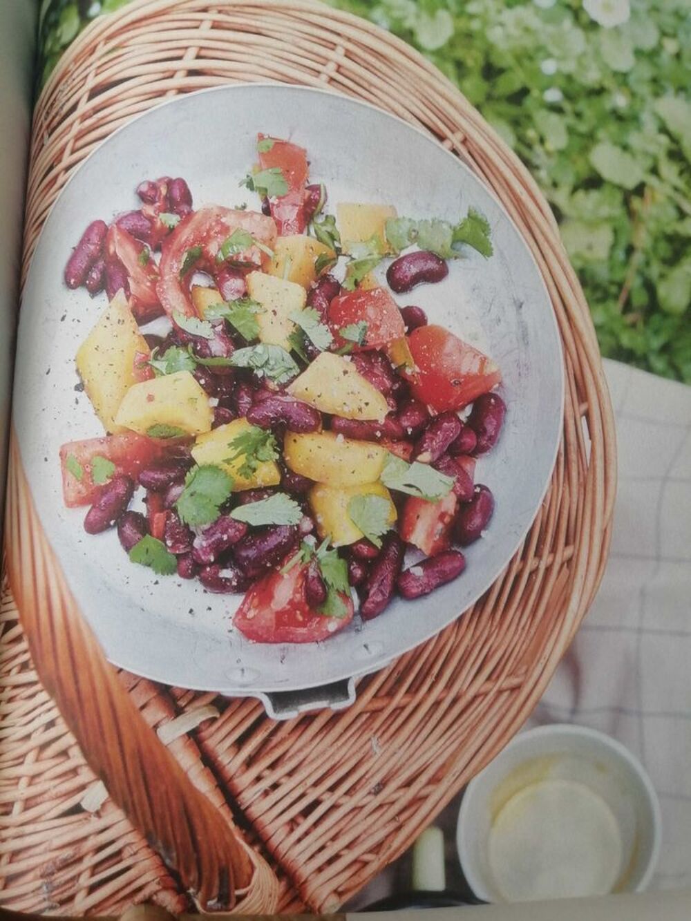 cuisiner en van et en camping Livres et BD