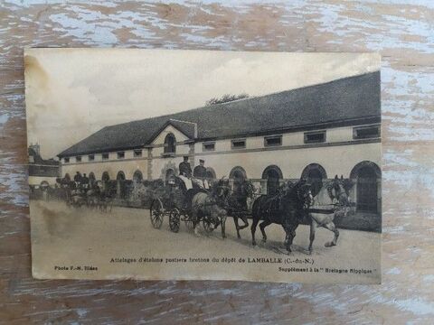 CPA Cheval Attelages Étalons Postiers Bretons Lamballe 0 Loches (37)