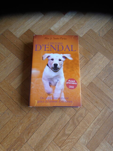 L'histoire d'Endal (88) 8 Tours (37)