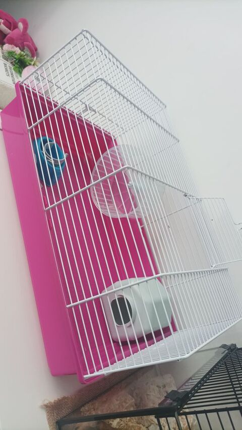 Vend cage pour petits rongeurs 15 59200 Tourcoing
