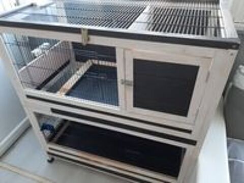   cage a furet ou rongeurs 