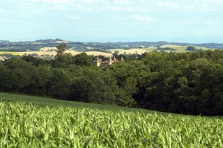  Propri�t�/ch�teau � vendre 12 pi�ces 385 m�