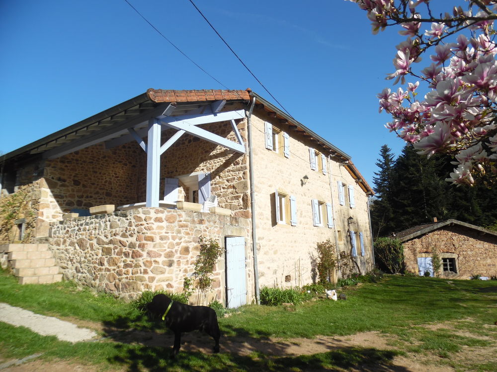 Vente Maison MAISON EN PIERRES APPARENTES SANS VIS A VIS SAONE ET LOIRE Anglure-sous-dun